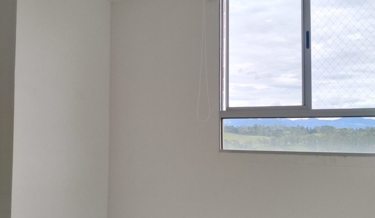 1000843299