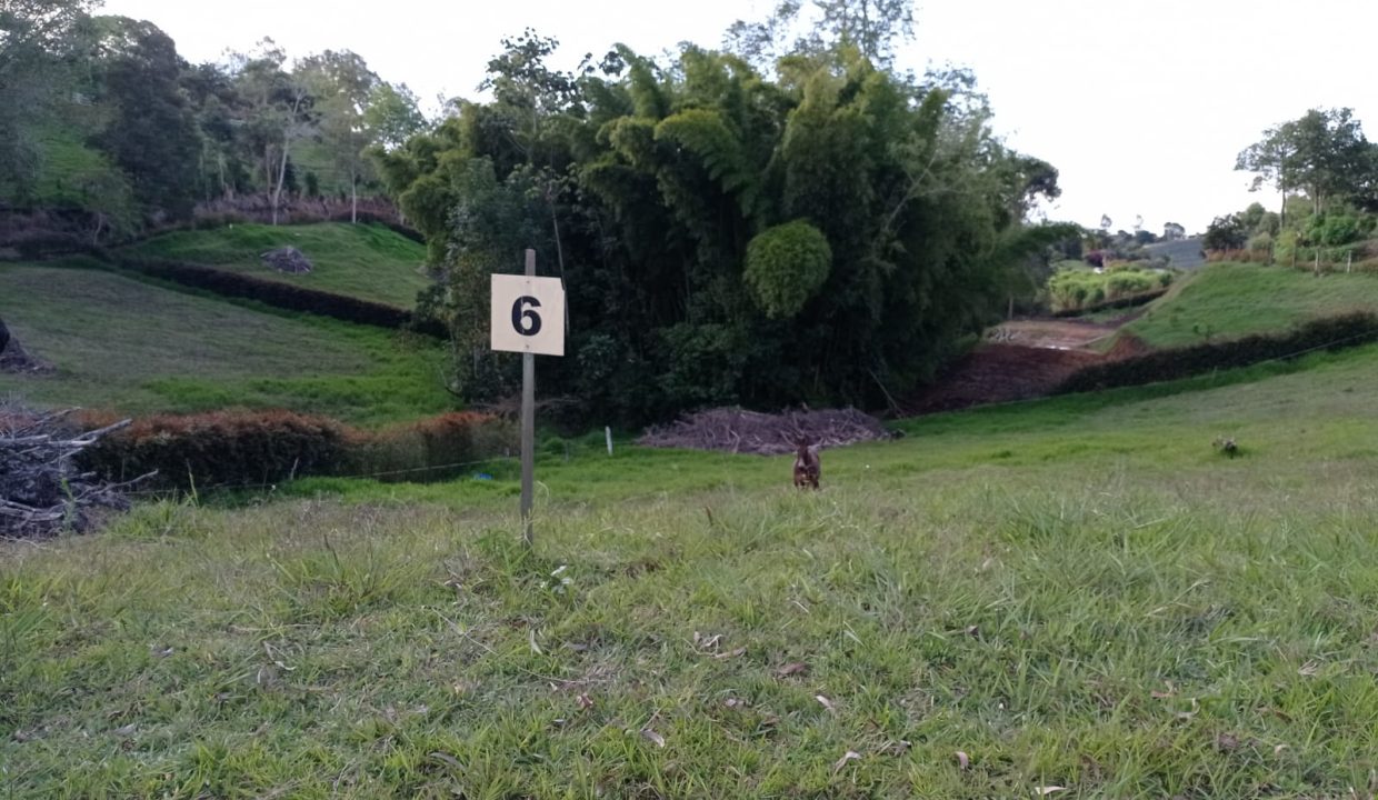 1000976173
