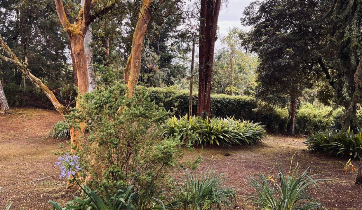 WhatsApp Image 2026-02-16 at 3.03.47 PM (1)