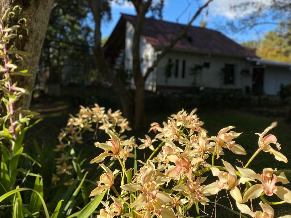 WhatsApp Image 2026-02-16 at 3.03.51 PM